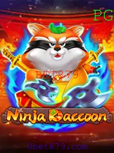 Descobrindo o Universo de NinjaRaccoon com a Chave BET879
